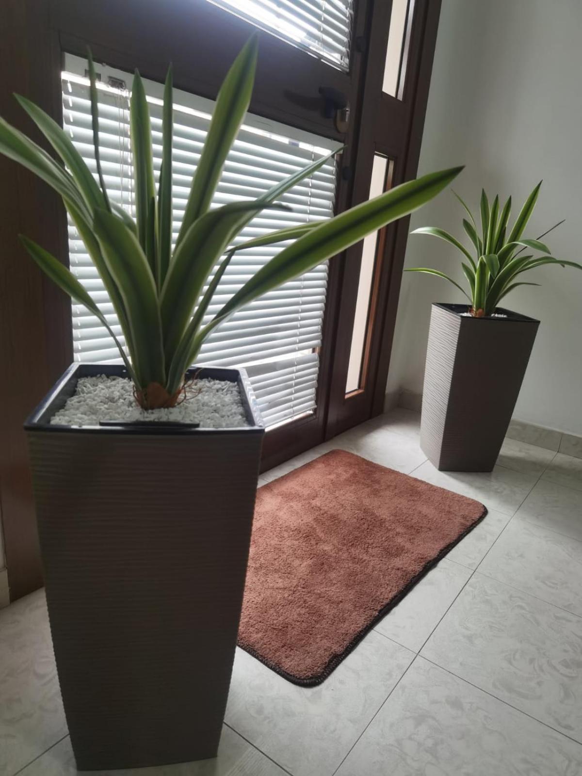 Hotel Edelweiss Laino Borgo Εξωτερικό φωτογραφία